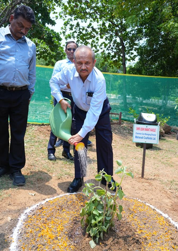 A plantation drive at MCL